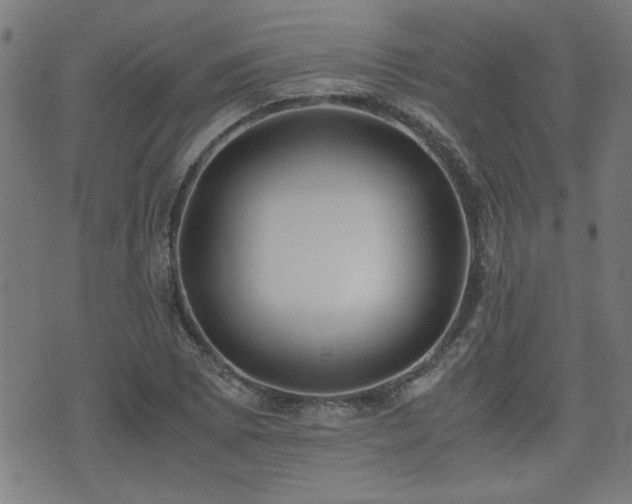 X0000071381073200606261407