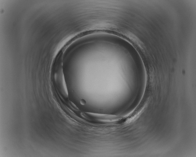 X0000071381077200606261407