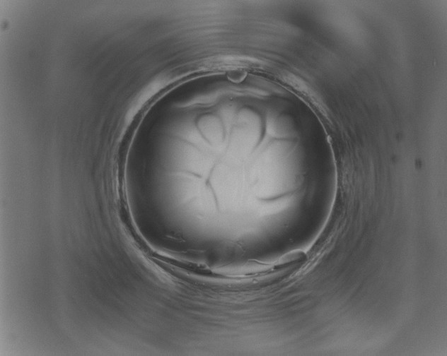 X0000071381083200606261407