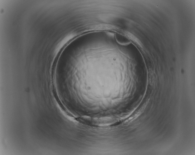 X0000071381087200606261407