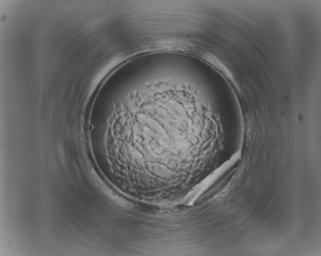 X0000071381091200606261407