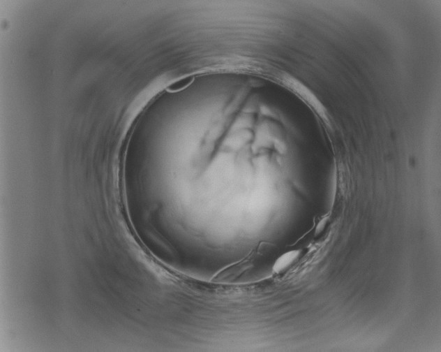 X0000071381099200606261407