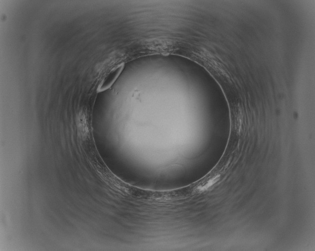 X0000071381106200606261406