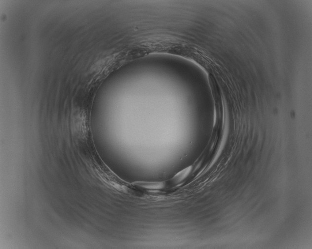 X0000071381108200606261406