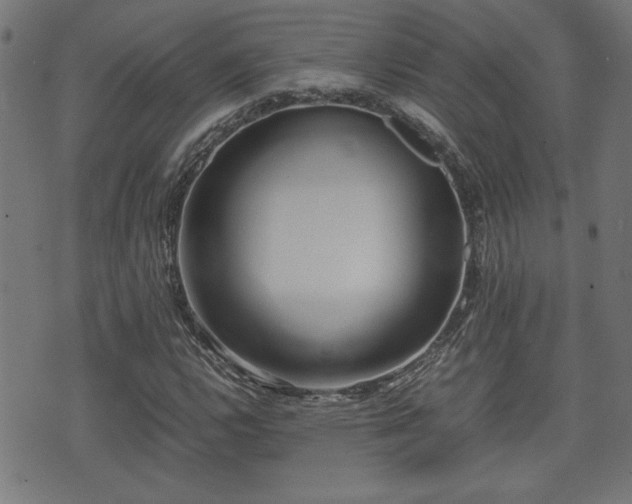 X0000071381112200606261406