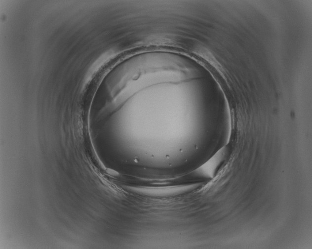 X0000071381115200606261406