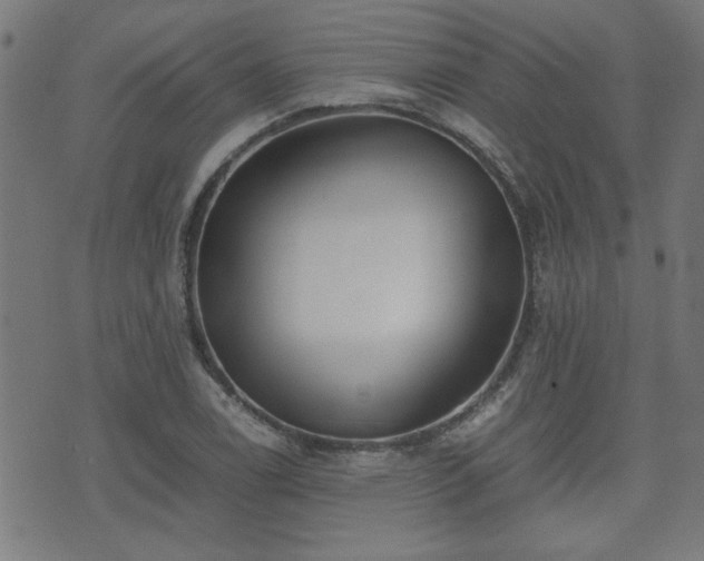 X0000071381122200606261406