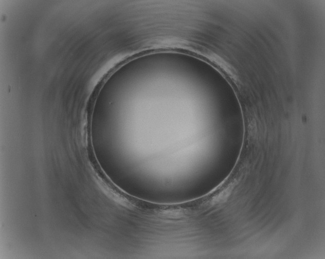 X0000071381126200606261406