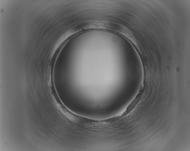 X0000071381131200606261407