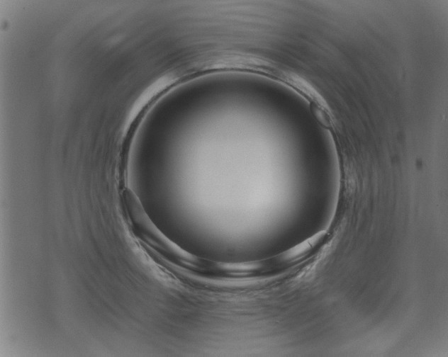 X0000071381138200606261407