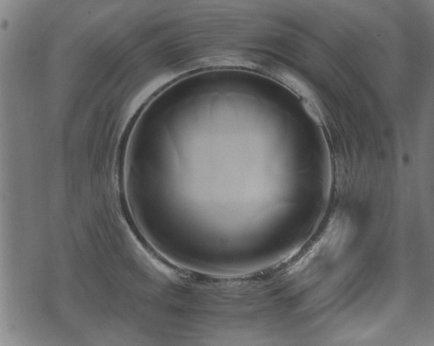 X0000071381141200606261407