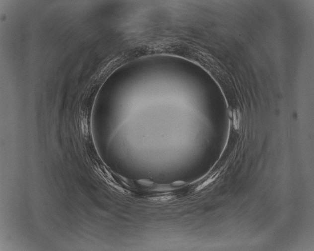 X0000071381155200606261406