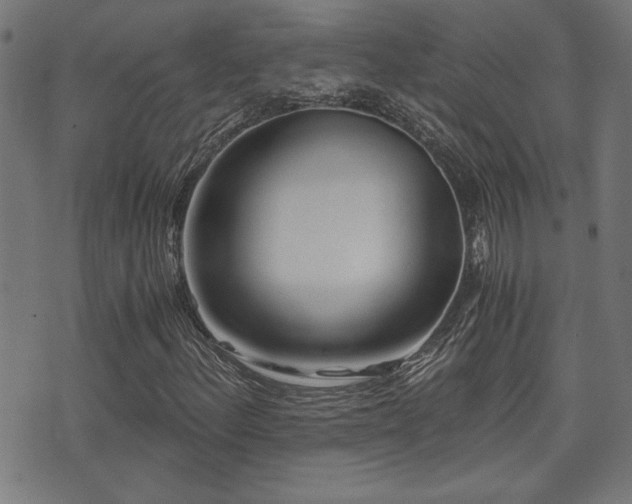X0000071381156200606261406