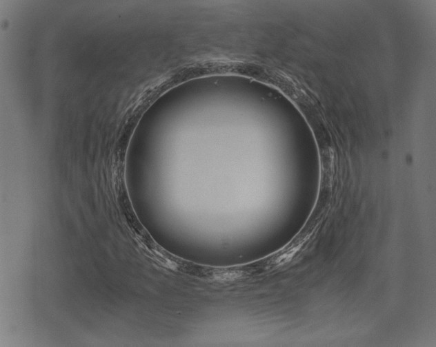 X0000071381157200606261406