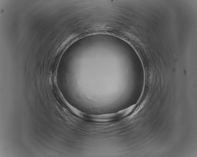 X0000071381161200606261406