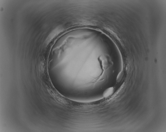 X0000071381163200606261406