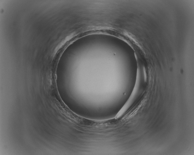 X0000071381165200606261406