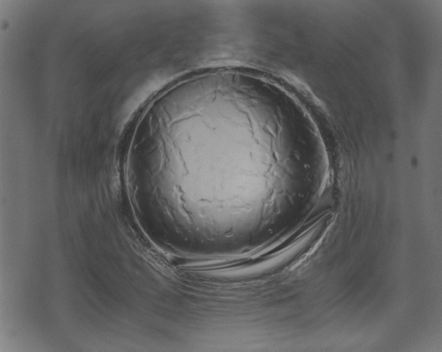 X0000071381167200606261406