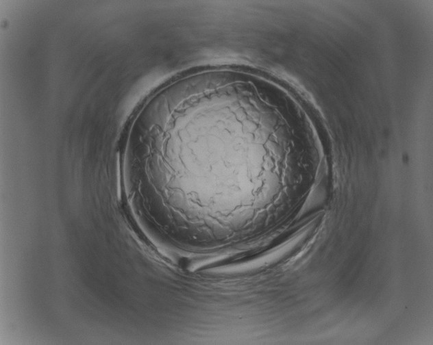 X0000071381175200606261406