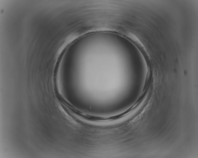 X0000071381181200606261406