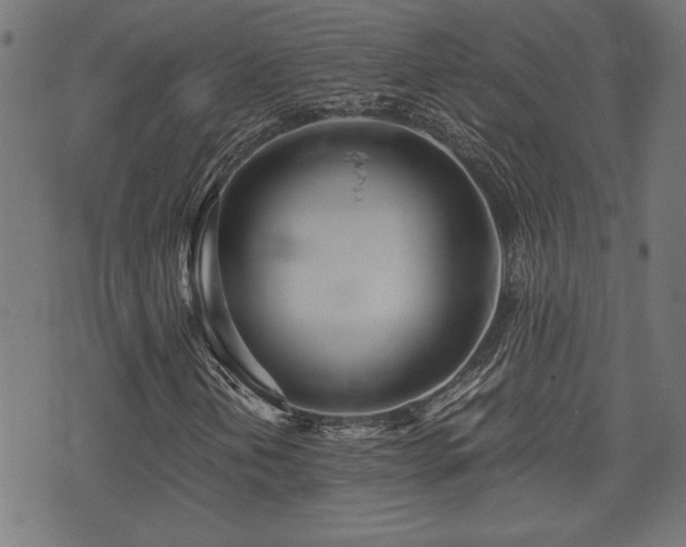 X0000071381202200606261405