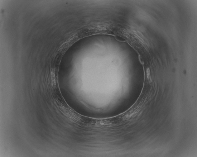 X0000071381203200606261405