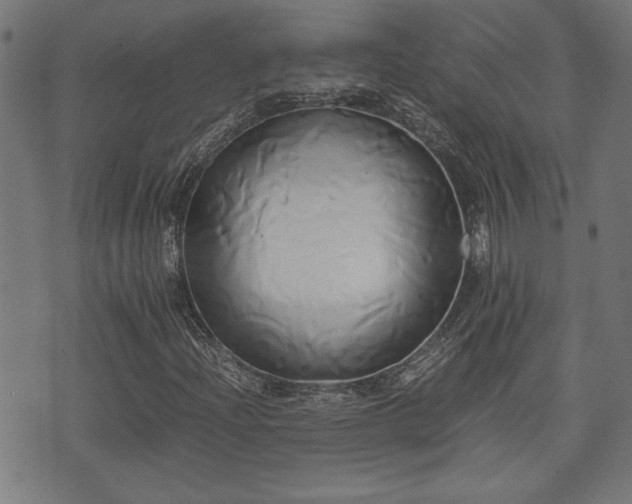 X0000071381204200606261405