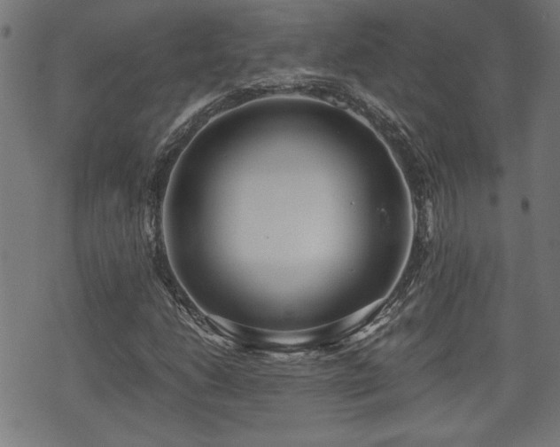 X0000071381206200606261405