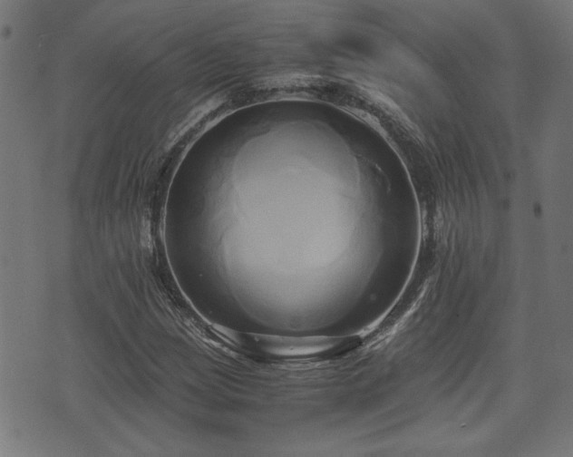 X0000071381209200606261405