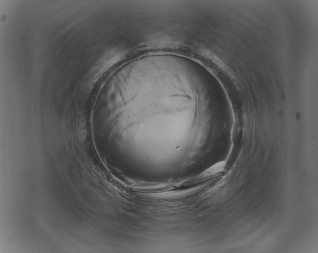 X0000071381213200606261405