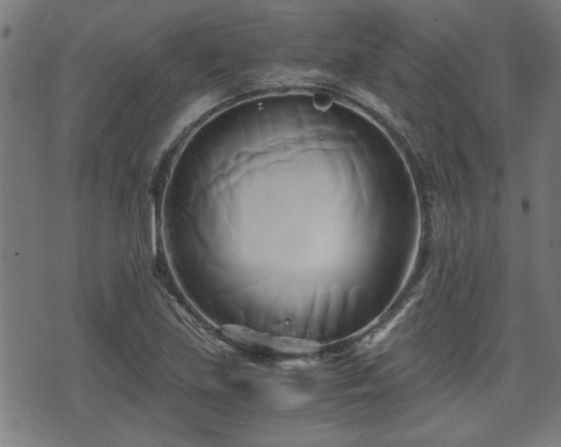 X0000071381219200606261405