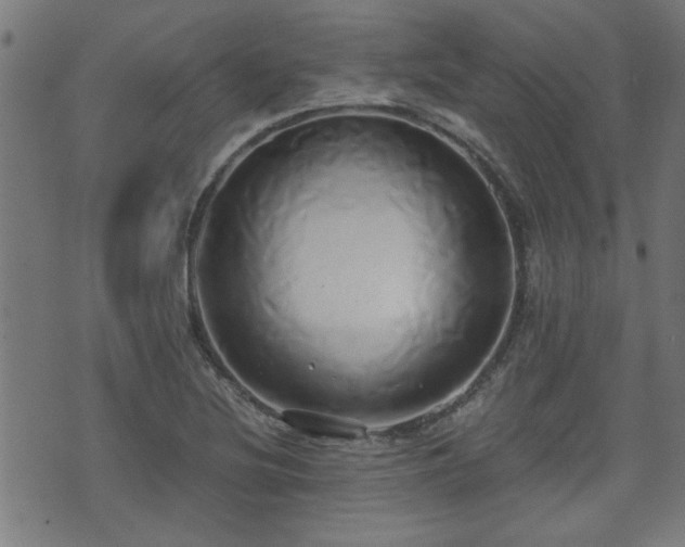 X0000071381220200606261405