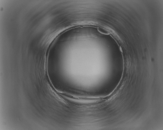 X0000071381228200606261405