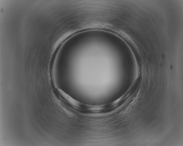 X0000071381230200606261405
