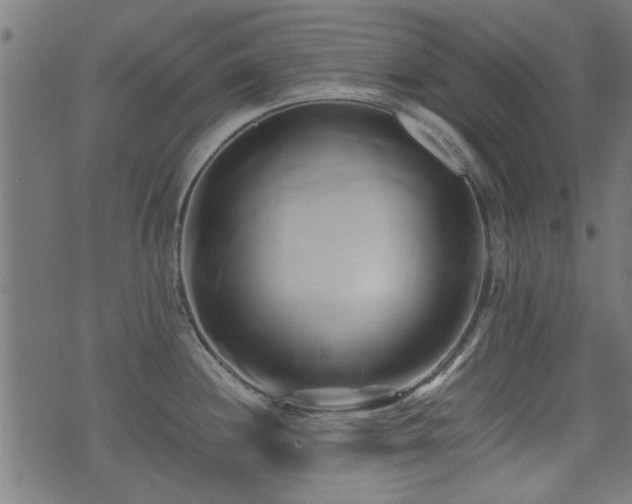 X0000071381244200606261405
