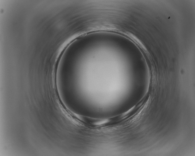 X0000071381246200606261405