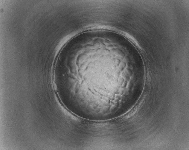 X0000071381247200606261405