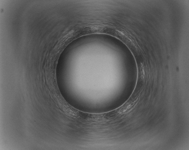 X0000071381249200606261405