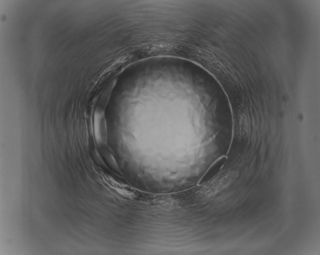 X0000071381250200606261405