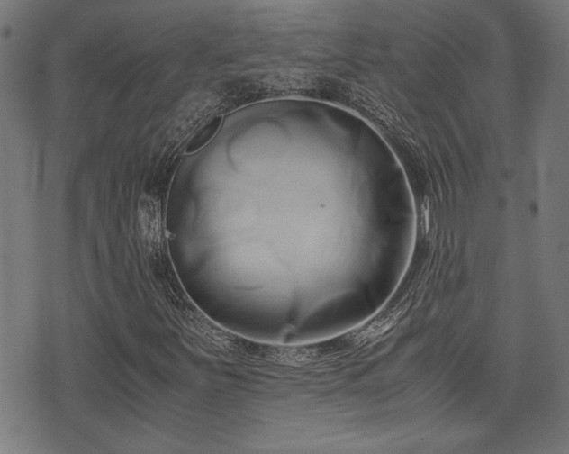 X0000071381251200606261405