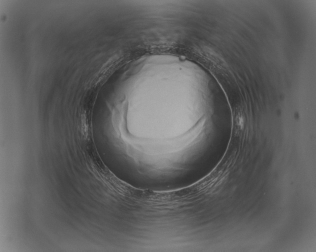 X0000071381252200606261405