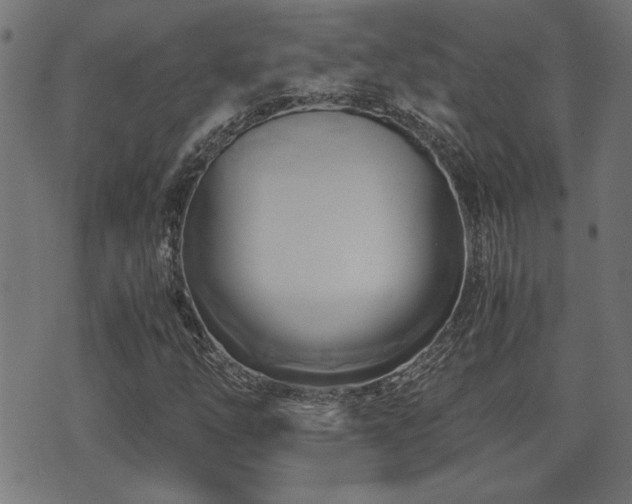 X0000071381254200606261404