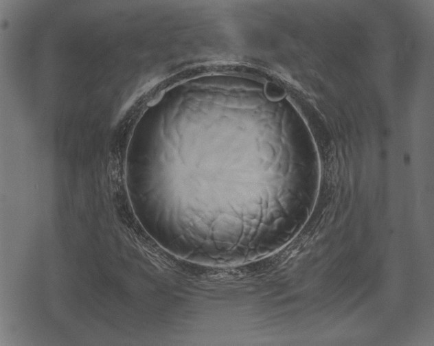 X0000071381255200606261404