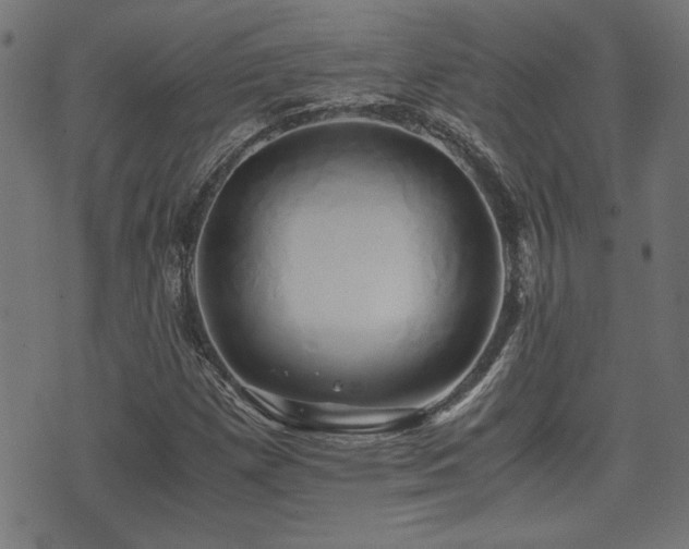 X0000071381257200606261404