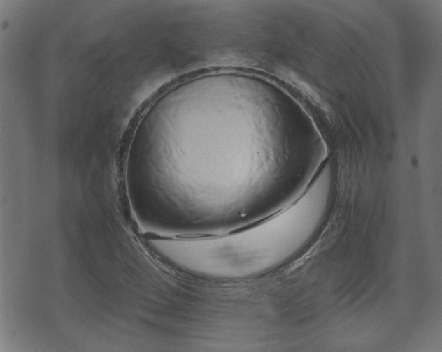 X0000071381264200606261404