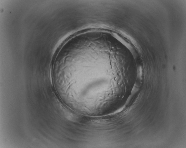 X0000071381272200606261404