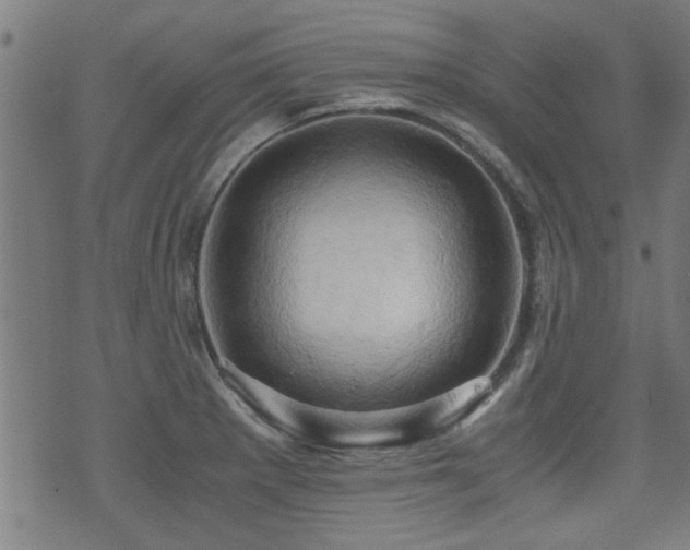 X0000071381281200606261404