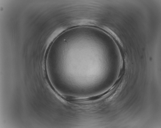 X0000071381285200606261404
