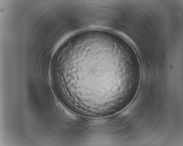 X0000071381294200606261404