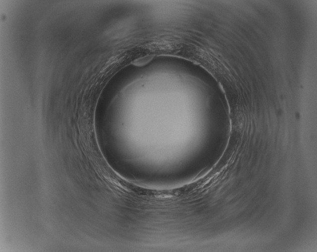 X0000071381297200606261403